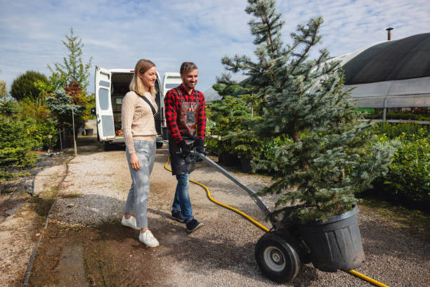 Best Stump Grinding Near Me  in Clendon, AR